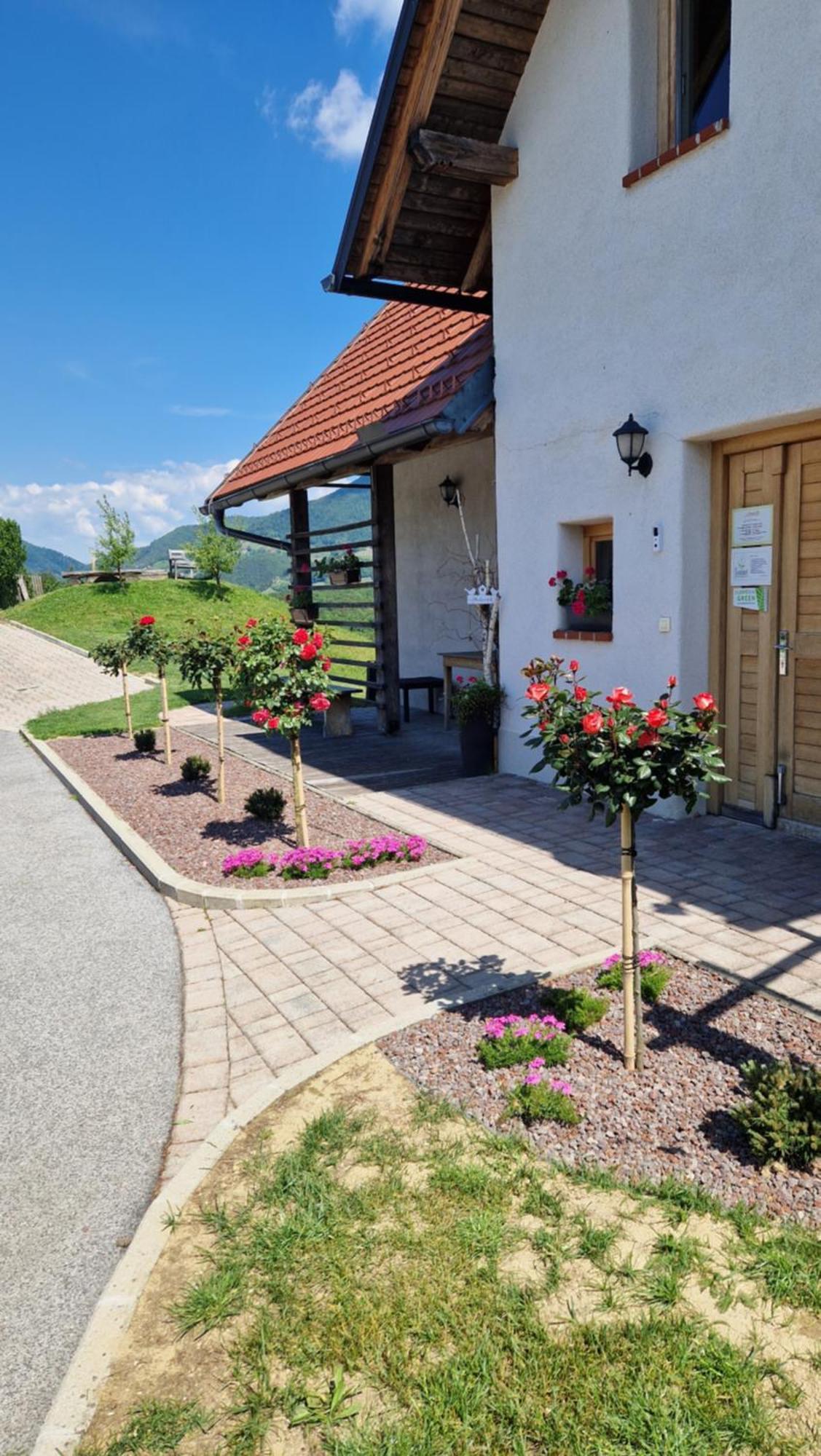 Hotel Relax Guest Hause Marjanca Rogaška Slatina Exterior foto