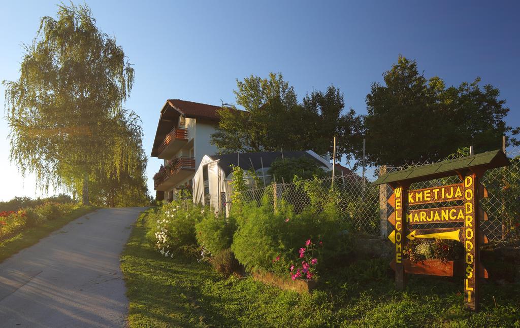Hotel Relax Guest Hause Marjanca Rogaška Slatina Exterior foto